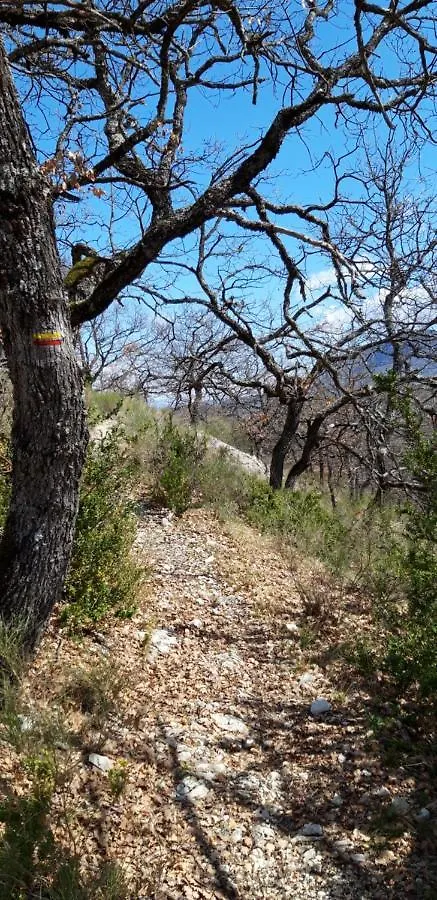 Gites Les Costoliers Chateauneuf-Miravail Дом отдыха