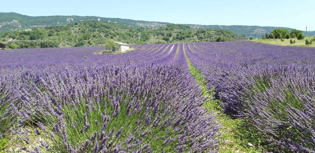 Gîtes Les Costoliers Châteauneuf-Miravail