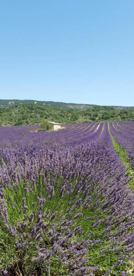 Gîtes Les Costoliers Châteauneuf-Miravail